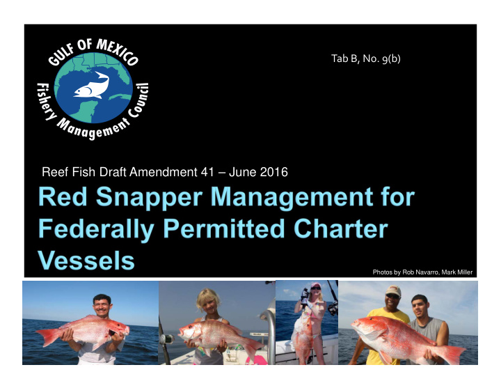 reef fish draft amendment 41 june 2016