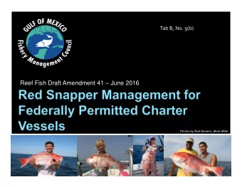 Reef Fish Draft Amendment 41  June 2016  Photos by Rob Navarro, Mark Miller  The purpose of