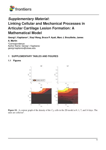 Supplementary Material :  Linking Cellular and Mechanical Processes in  Articular Cartilage Lesion