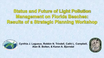 Cynthia J. Lagueux, Robbin N. Trindell, Cathi L. Campbell,  Alan B. Bolten, &amp; Karen A. Bjorndal