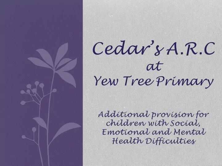 cedar s a r c