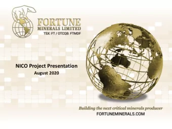 NICO Project Presentation  August 2020  Forward-Looking Information This management presentation