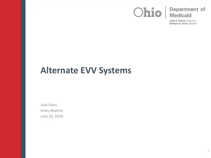 alternate evv systems