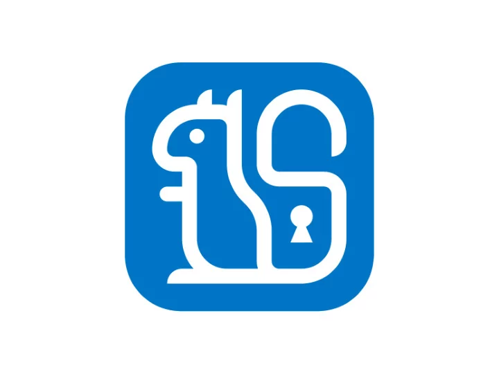 robust pseudonymous identity for the internet a practical
