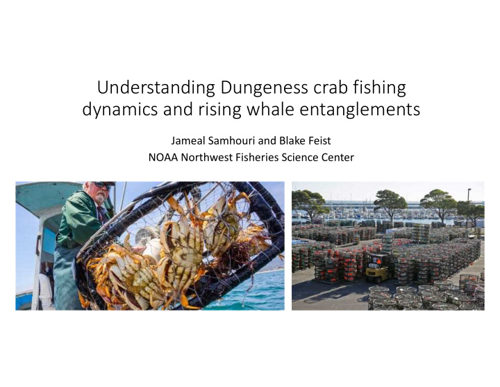 understanding dungeness crab fishing dynamics and rising