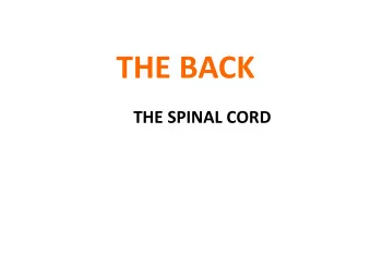 THE BACK  THE SPINAL CORD  THE SPINAL CORD  The structures in the vertebral canal:  the spinal