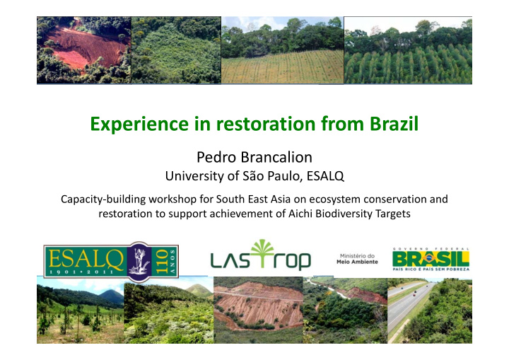 experience in restoration from brazil