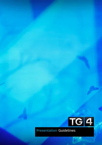 Presentation  Guidelines  Contents  1.1  Programme Opening  1.2  End of Programme  1.3  Subtitles