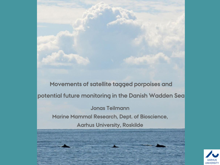 movements of satellite tagged porpoises and potential