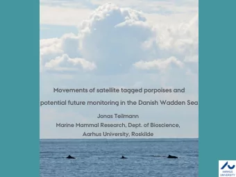 Movements of satellite tagged porpoises and  potential future monitoring in the Danish Wadden Sea