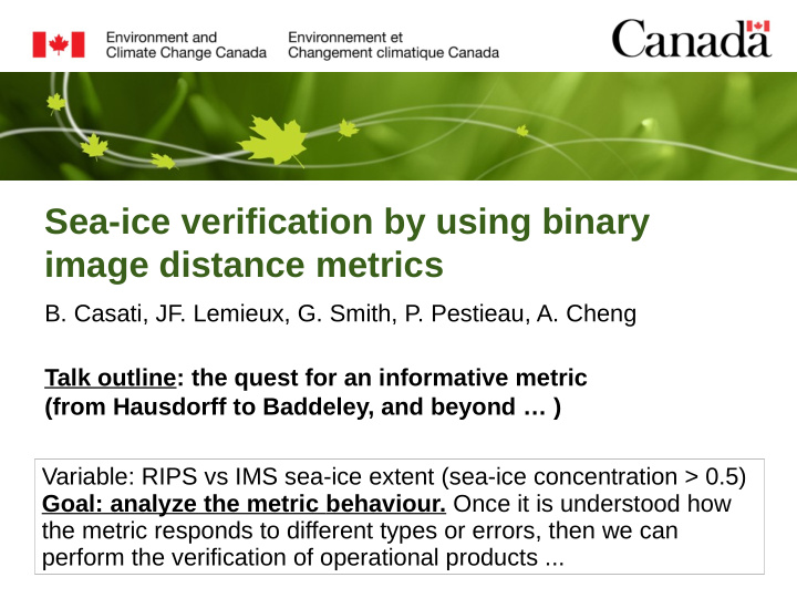 sea ice verification by using binary image distance