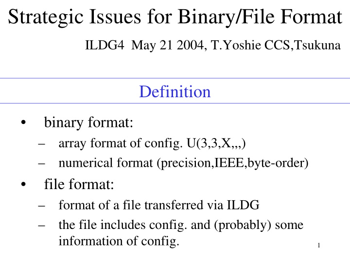 strategic issues for binary file format