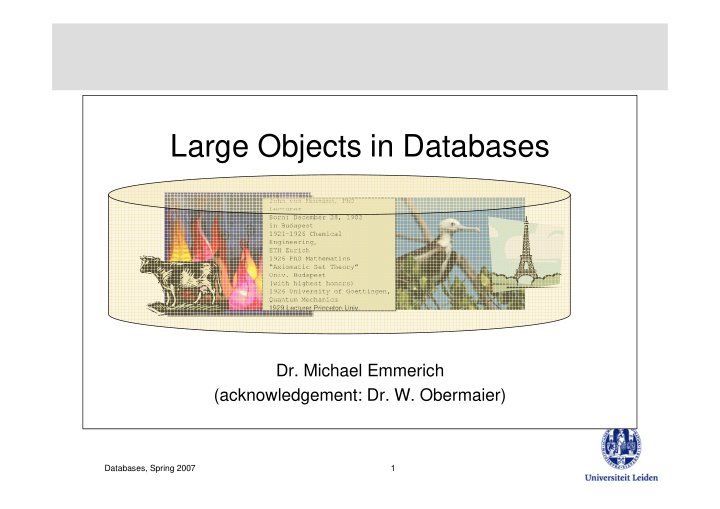 large objects in databases