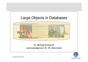 Large Objects in Databases  John von Neumann, PhD  Lecturer  Born: December 28, 1903  in Budapest