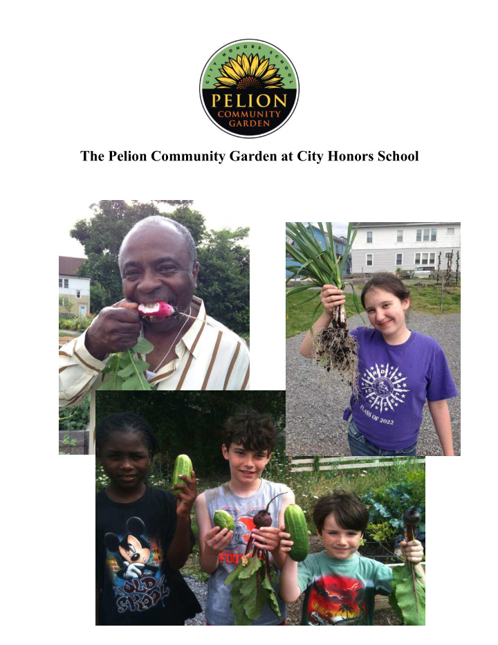the pelion community garden at city honors school