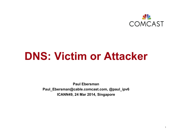 dns victim or attacker