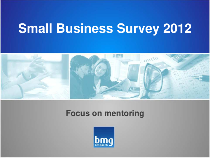 small business survey 2012