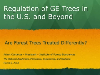 Regulation of GE Trees in  the U.S. and Beyond  Are Forest Trees Treated Differently? Adam Costanza