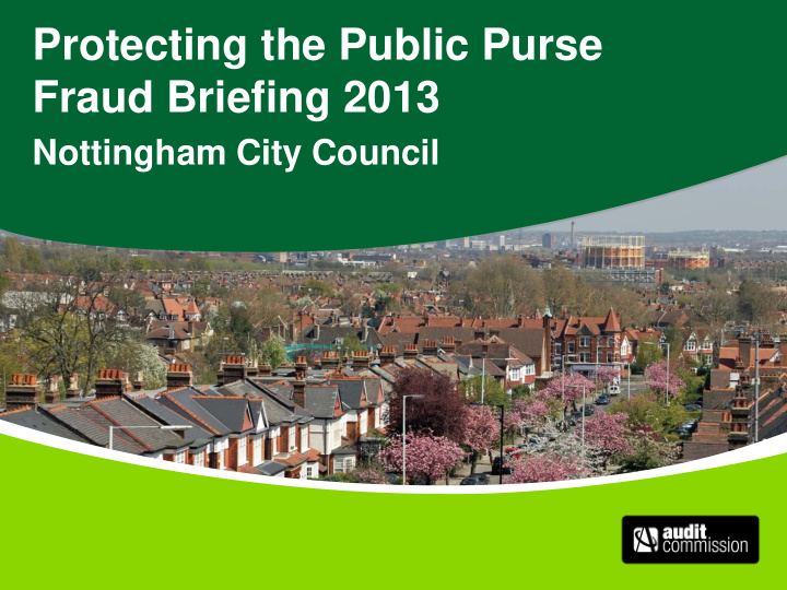 protecting the public purse fraud briefing 2013