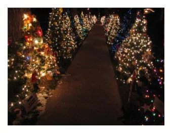 1  15 May 2019  FM Radio Broadcasting and  3D Printing  for Christmas Lighting  David Jones  DIYC