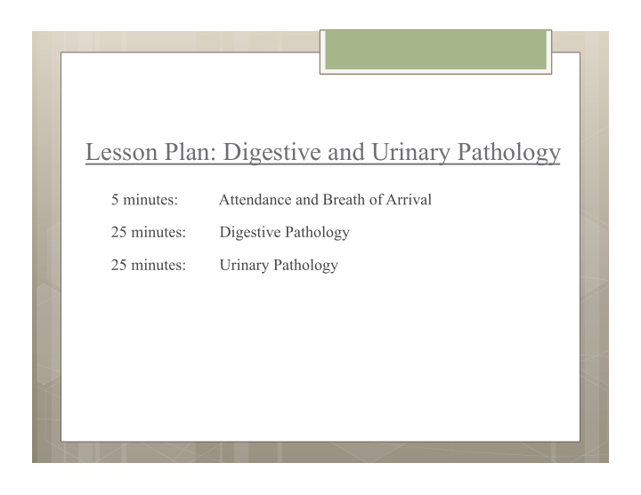 lesson plan digestive and urinary pathology