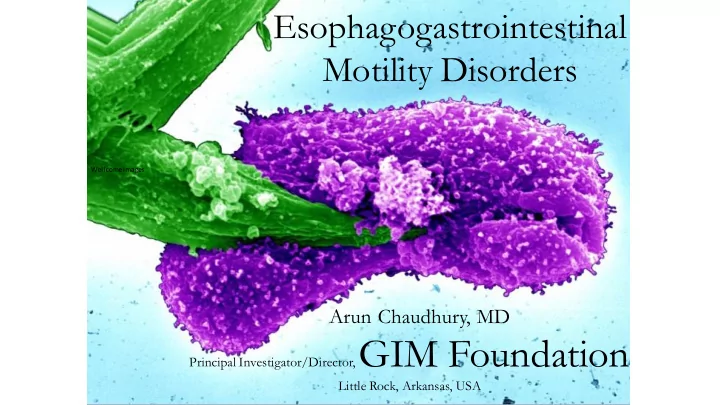 principal investigator director gim foundation