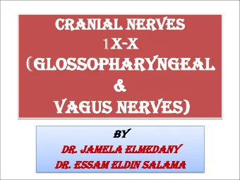 ES)  VA  VAGUS NER  NERVES)  BY  BY  DR.  DR. JA  JAMELA EL  ELMED  MEDANY  DR.  DR. ES  ESSAM EL