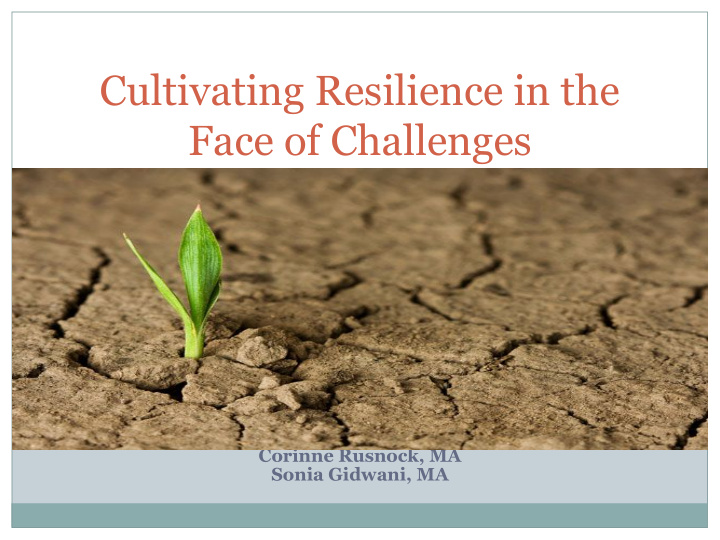 cultivating resilience in the face of challenges