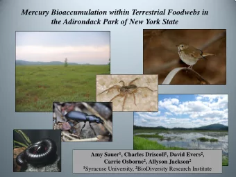 Mercury Bioaccumulation within Terrestrial Foodwebs in  the Adirondack Park of New York State Amy