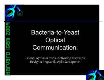 Bacteria-to-Yeast  Optical  Communication:  Using Light as a trans-Activating Factor to Bridge a
