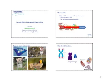 1  They have 3 things in common  Rule breaker #1: telomeres  What are telomeres?  Function of