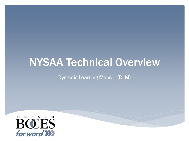 nysaa technical overview
