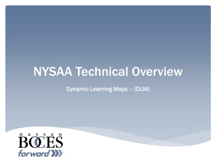 nysaa technical overview
