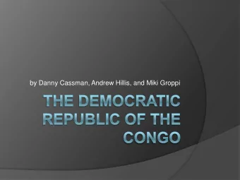 by Danny Cassman, Andrew Hillis, and Miki Groppi  Outline  Historical Background  NGOs
