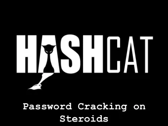 Steroids  [root@tools ~]# whoami  Martin (purehate) Bos  Core Developer for Backtrack  Linux