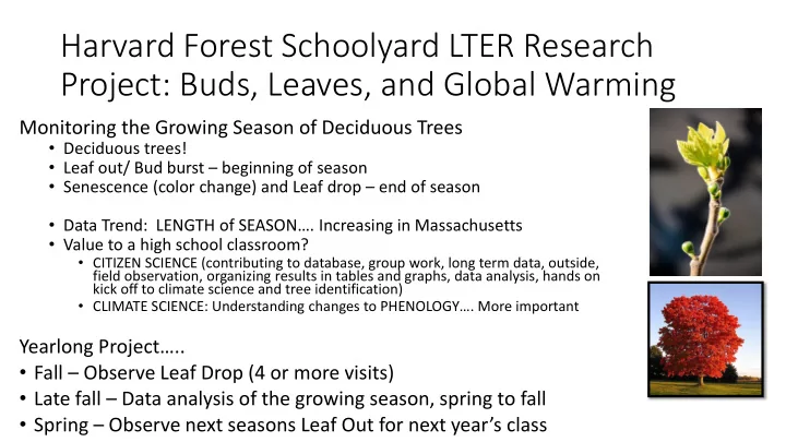 project buds leaves and global warming
