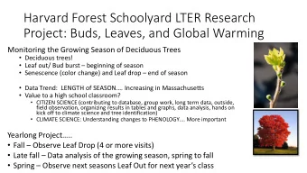 Project: Buds, Leaves, and Global Warming  Monitoring the Growing Season of Deciduous Trees