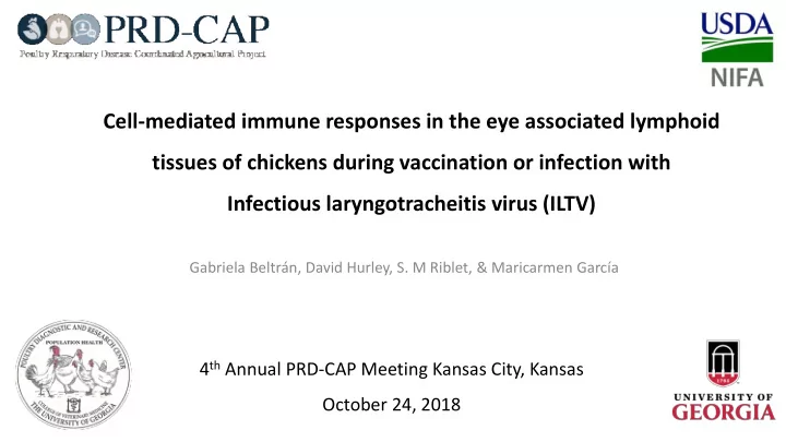 cell mediated immune responses in the eye associated