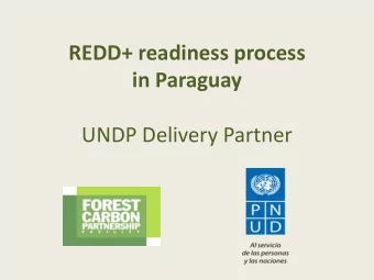 R-PP elaboration process  2008: R/Pin of Paraguay endorsed by PC  2011-12: Inception of the
