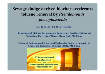 Sewage sludge derived biochar accelerates toluene removal by Pseudomonas  plecoglossicida R.A. de