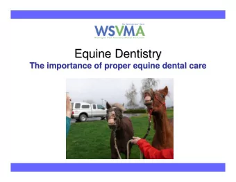 Equine Dentistry  Equine Dentistry  The importance of proper equine dental care  The importance of