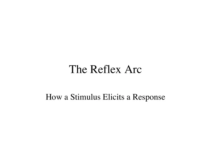 the reflex arc