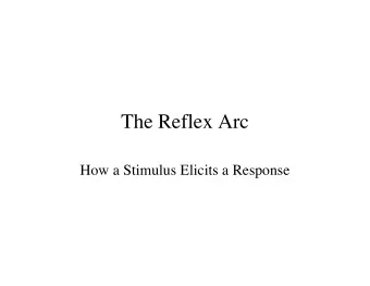 The Reflex Arc  How a Stimulus Elicits a Response A Knee-Jerk Response     What happened?