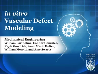 in vitro  Vascular Defect  Modeling  Mechanical Engineering  William Bartholme, Connor Gonzalez,