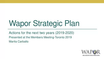 Wapor Strategic Plan  Actions for the next two years (2019-2020)  Presented at the Members