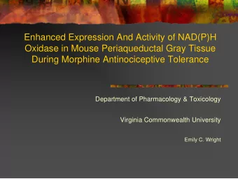 Enhanced Expression And Activity of NAD(P)H  Oxidase in Mouse Periaqueductal Gray Tissue  During