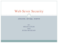 web sever security