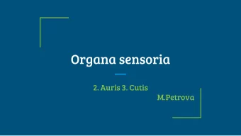 Organa sensoria  2. Auris 3. Cutis  M.Petrova  2. auris, is, f = Gr. -OT- (o)  auris externa -