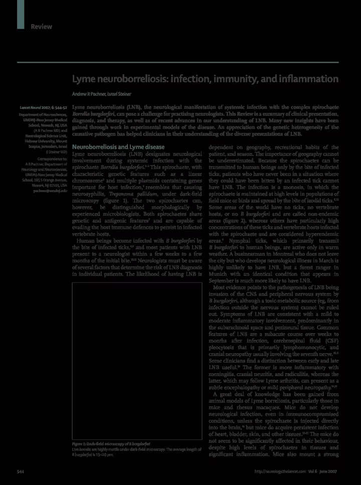 lyme neuroborreliosis infection immunity and infl ammation