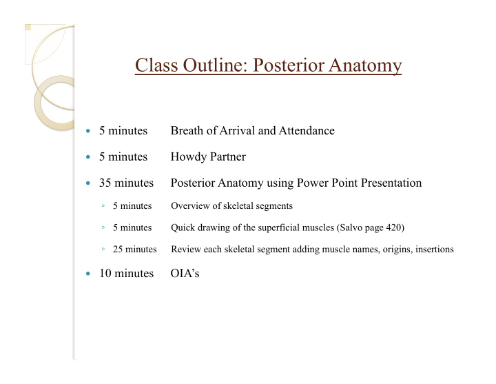 class outline posterior anatomy